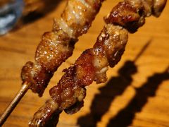 肉筋-管氏翅吧(人民大学店)