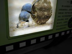 -上海昆虫博物馆