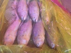 -众彩物流水产市场