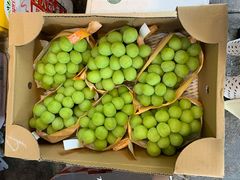-油麻地果栏