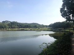 -东莞植物园