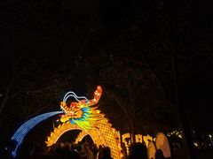 -琅岐红光湖公园