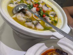 招牌青花椒鱼-朝花里川菜小馆朝(益田假日里店)