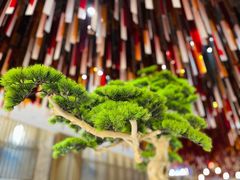 -青水瓦台汤泉(未央店)