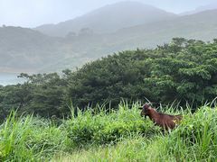-嵛山岛