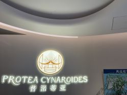 -普洛蒂亚·科技美肤中心