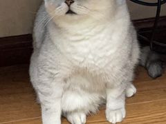 -联合动物医院(光谷诊疗中心)