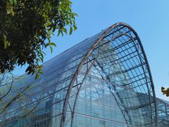-南山植物园