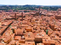 -圣母百花大教堂穹顶