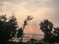 -宝安西湾红树林湿地公园