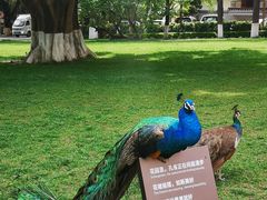 -西昌邛海宾馆