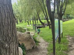 -长春公园(普阳街道)