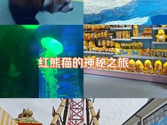 -海合安成都极地海洋公园