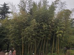 -西苑公园