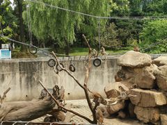 -西安秦岭野生动物园