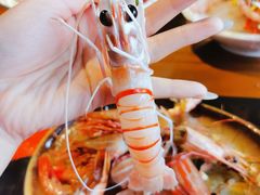 -和彩放题餐厅(酒仙桥店)