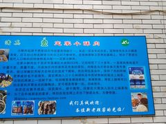 -定家小酥肉·清真(回民街店)