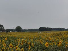 -苏州湾体育公园