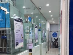 -芭比堂动物医院(广州爱宠下渡路分院)