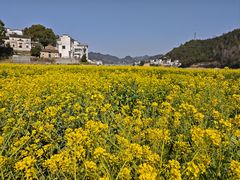 -新安江山水画廊风景区