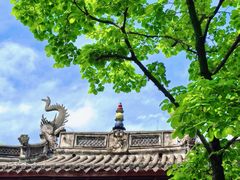 -天一阁博物院