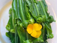 -马仕玖煲·融合菜·酥不腻烤鸭(人大店)