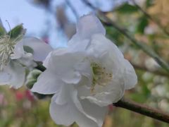 -桃花涧
