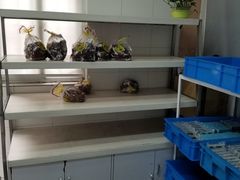 -来噻布布 Lets BUBU