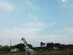 -广东花都香草世界旅游度假区