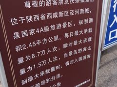 -茯茶镇