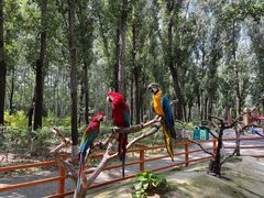 -北京野生动物园