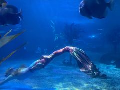 -常州海昌海洋探索馆