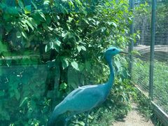 -齐齐哈尔龙沙动植物园