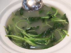 上汤鸡毛菜-峨嵋酒家(清河店)