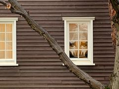 -三鹰之森吉卜力美术馆