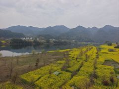 -新安江山水画廊风景区