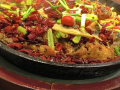 -老板恋上鱼(荣盛广场店)
