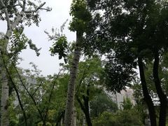 -莲湖公园