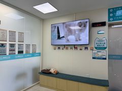 -美联众合动物医院·24h京西诊疗中心