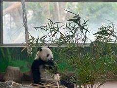 -广州动物园