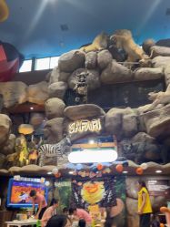 -卡通尼·Safari非洲探索乐园·生日会(金桥国际商业广场店)