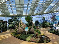 -石家庄市植物园