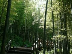 -天目湖山水园