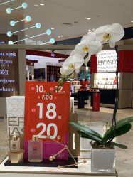 -奥伦纳素Erno Laszlo