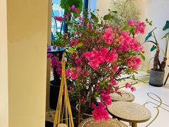 -HUATA 'Holiday Plan 花榻