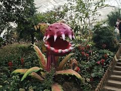 -沈阳植物园