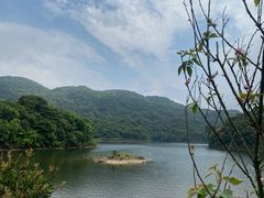 -广州市石门国家森林公园