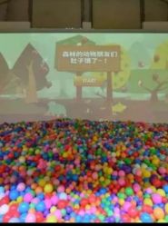 -恐龙探索乐园(磁器口店)