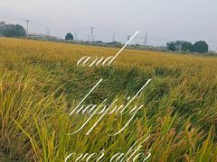 -上海佘山国家森林公园天马山园