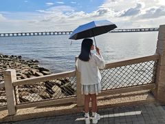 -宝安西湾红树林湿地公园